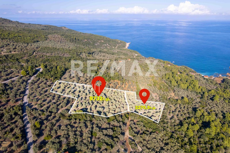 Αγροτεμάχια 9.732 τ.μ. πρός πώληση, Μαγνησία, Σηπιάδα