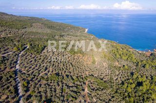 Αγροτεμάχια 9.732 τ.μ. για πώληση