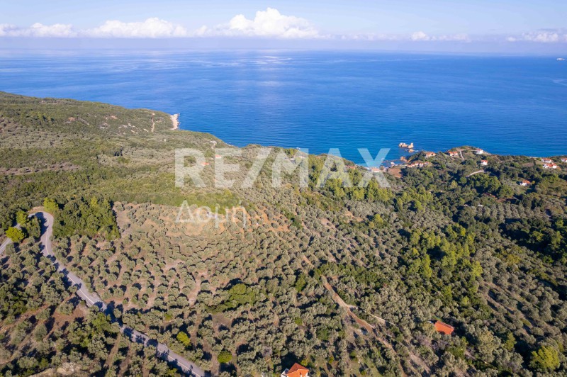 Αγροτεμάχια 9.732 τ.μ. πρός πώληση, Μαγνησία, Σηπιάδα