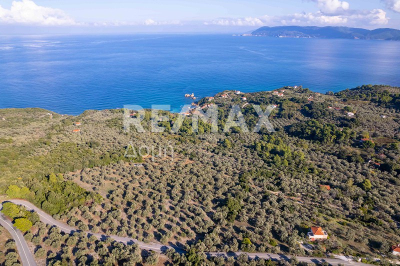 Αγροτεμάχια 9.732 τ.μ. πρός πώληση, Μαγνησία, Σηπιάδα
