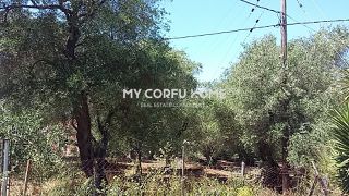 Οικόπεδο 6.500 τ.μ. για πώληση, Ν. Κέρκυρας, Κέρκυρα-thumb-3