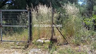 Οικόπεδο 6.500 τ.μ. για πώληση, Ν. Κέρκυρας, Κέρκυρα-thumb-8