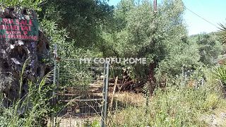 Οικόπεδο 6.500 τ.μ. για πώληση, Ν. Κέρκυρας, Κέρκυρα-thumb-2