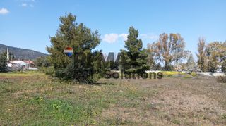 Οικόπεδο 1.518 τ.μ. για πώληση