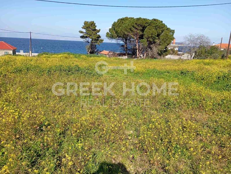 Οικόπεδο 775 τ.μ. προς πώληση, Κάτω Πιτσά