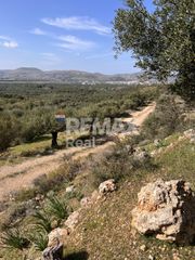 Οικόπεδο 6.631 τ.μ. για πώληση