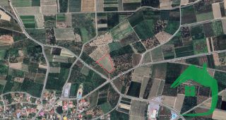 Αγροτεμάχια 8.500 τ.μ. για πώληση