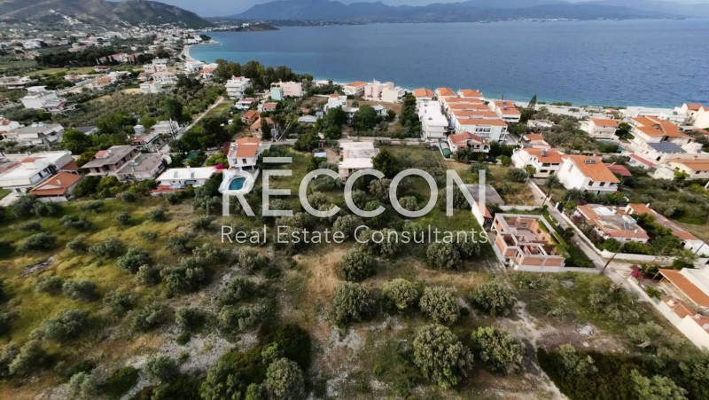 Οικόπεδο 2.900 τ.μ. προς πώληση, Κάτω Αλμυρή