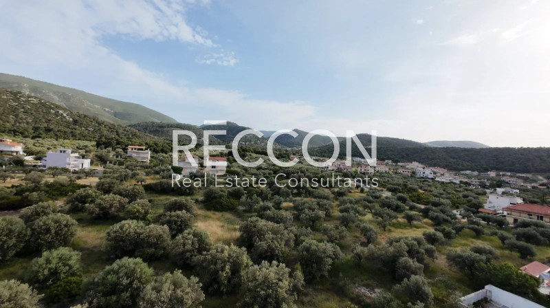 Οικόπεδο 2.900 τ.μ. προς πώληση, Κάτω Αλμυρή