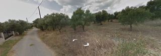 Οικόπεδο 6.809 τ.μ. για πώληση