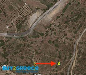 Αγροτεμάχια 2.429 τ.μ. για πώληση