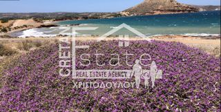 Οικόπεδο 40.000 τ.μ. για πώληση, Ν. Λασιθίου, Ίτανος-thumb-21