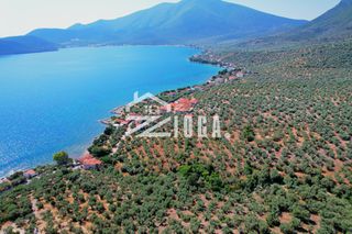 Αγροτεμάχια 6.855 τ.μ. για πώληση