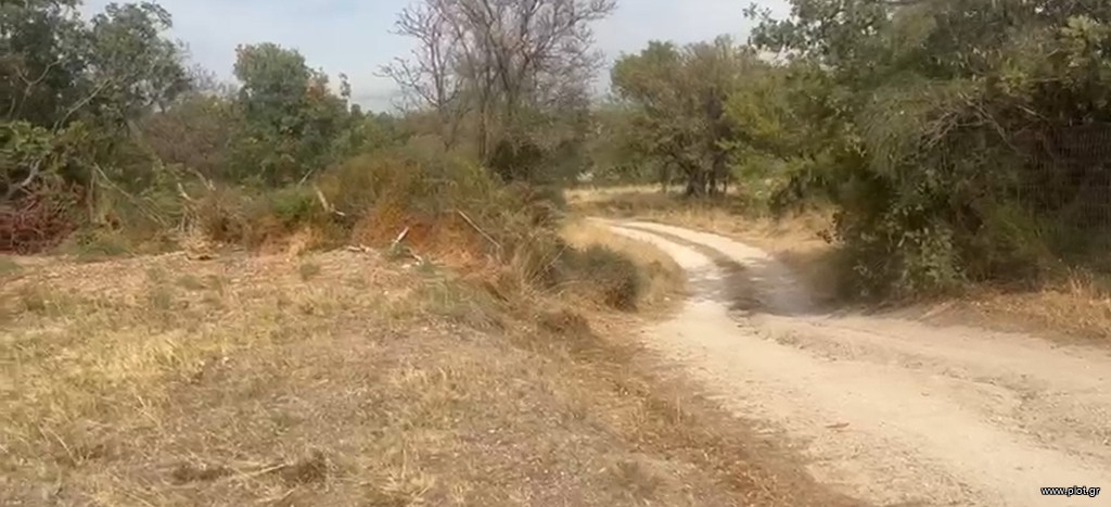 Αγροτεμάχια 288 τ.μ. προς πώληση, Μάκρη Αλεξανδρούπολης