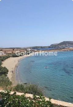 Αγροτεμάχια 3.000 τ.μ. για πώληση