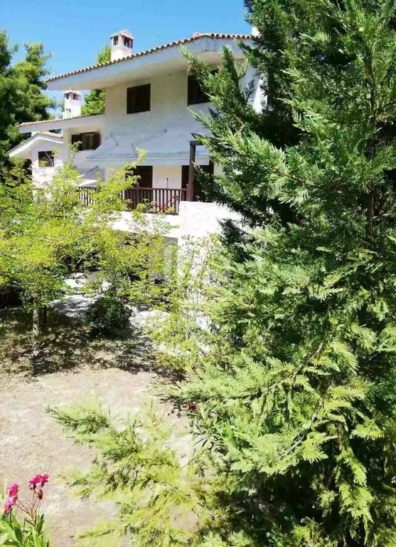 Μονοκατοικία 106 τ.μ. προς πώληση, Κασσάνδρα