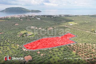 Οικόπεδο 10.959 τ.μ. για πώληση