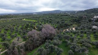 Αγροτεμάχια 8.220 τ.μ. για πώληση, Ν. Ρεθύμνου, Αρκάδι-thumb-8