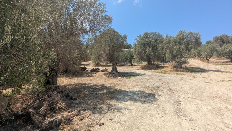 Αγροτεμάχια 8.220 τ.μ. για πώληση, Ν. Ρεθύμνου, Αρκάδι
