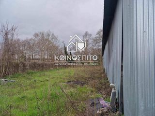 Οικόπεδο 3.000 τ.μ. πρός ενοικίαση, Ημαθία, Νάουσα-thumb-3