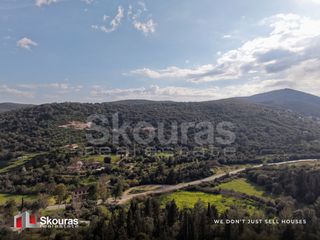 Αγροτεμάχια 4.150 τ.μ. για πώληση