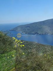 Αγροτεμάχια 4.202 τ.μ. προς πώληση