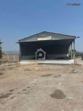 Warehouse 1.340 sqm for sale, Boeotia, Livadeia