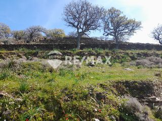 Αγροτεμάχια 4.117 τ.μ. για πώληση