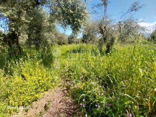 Οικόπεδο 5.773 τ.μ. πρός πώληση, Αχαΐα, Παραλία-thumb-7