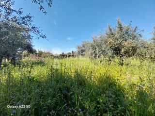 Οικόπεδο 5.773 τ.μ. πρός πώληση, Αχαΐα, Παραλία-thumb-11