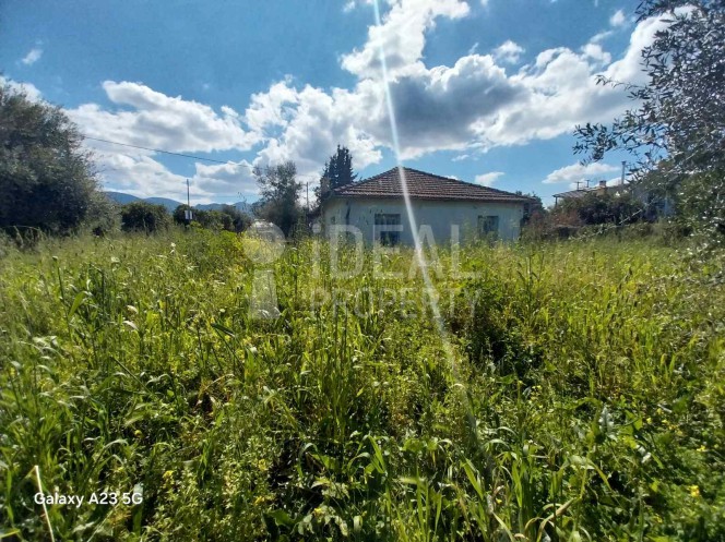 Οικόπεδο 5.773 τ.μ. πρός πώληση, Αχαΐα, Παραλία
