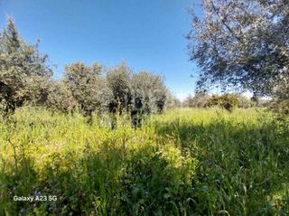 Οικόπεδο 5.773 τ.μ. πρός πώληση, Αχαΐα, Παραλία-thumb-12
