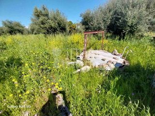 Οικόπεδο 5.773 τ.μ. πρός πώληση, Αχαΐα, Παραλία-thumb-6