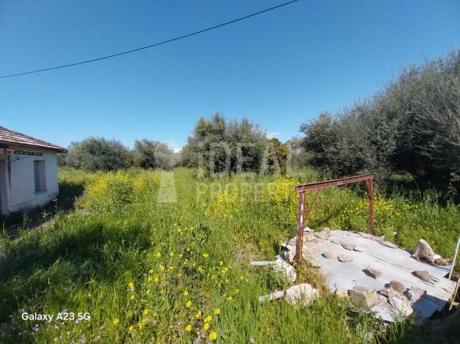 Οικόπεδο 5.773 τ.μ. πρός πώληση, Αχαΐα, Παραλία