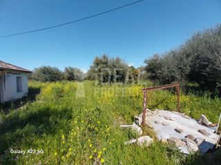Οικόπεδο 5.773 τ.μ. πρός πώληση, Αχαΐα, Παραλία-thumb-2
