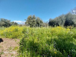 Οικόπεδο 5.773 τ.μ. πρός πώληση, Αχαΐα, Παραλία-thumb-14