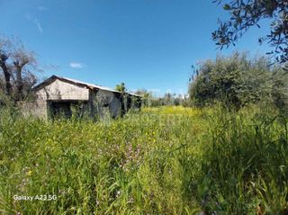 Οικόπεδο 5.773 τ.μ. πρός πώληση, Αχαΐα, Παραλία-thumb-5