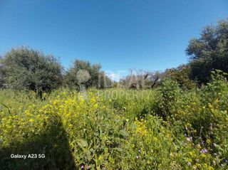 Οικόπεδο 5.773 τ.μ. πρός πώληση, Αχαΐα, Παραλία-thumb-10