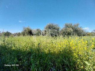 Οικόπεδο 5.773 τ.μ. πρός πώληση, Αχαΐα, Παραλία-thumb-15