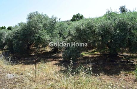 Οικόπεδο 5.428 τ.μ. για πώληση
