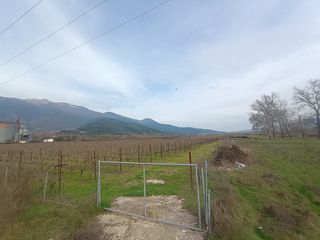 Αγροτεμάχια 15.500 τ.μ. για πώληση