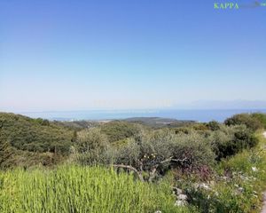 Οικόπεδο 4.023,93 τ.μ. για πώληση