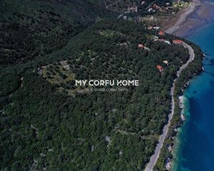 Οικόπεδο 10.000 τ.μ. για πώληση