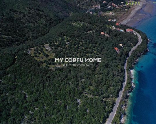 Οικόπεδο 10.000 τ.μ. για πώληση, Ν. Κέρκυρας, Κέρκυρα