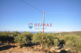 Οικόπεδο 618 τ.μ. προς πώληση, Μόδι Πλατανιά-thumb-12