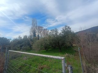 Αγροτεμάχια 480 τ.μ. για πώληση
