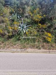 Αγροτεμάχια 2.986 τ.μ. για πώληση