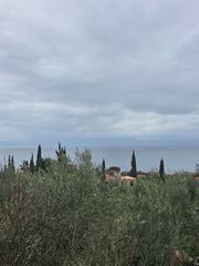 Οικόπεδο 2.131 τ.μ. για πώληση, Μεσσηνία, Λεύκτρος-thumb-2