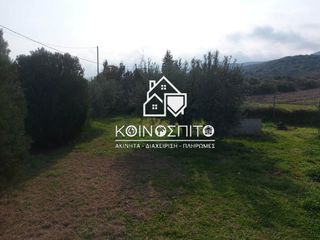 Οικόπεδο 2.400 τ.μ. για πώληση