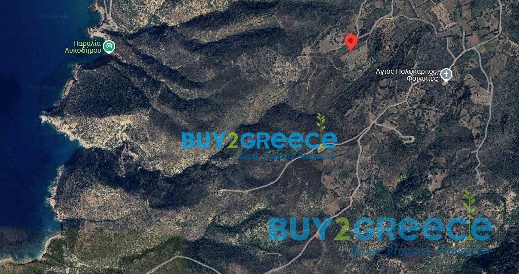 Αγροτεμάχια 22.780 τ.μ. προς πώληση, Φοινικιές
